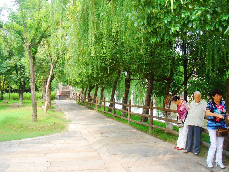 DSC03706