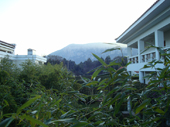 DSC04439