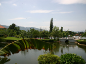 P1010841