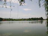 P1010865