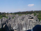 DSC04290